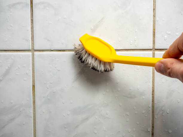 Best Fast Mold Removal  in Geneseo, IL