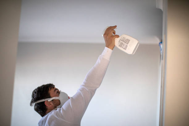 Best Certified Mold Removal  in Geneseo, IL