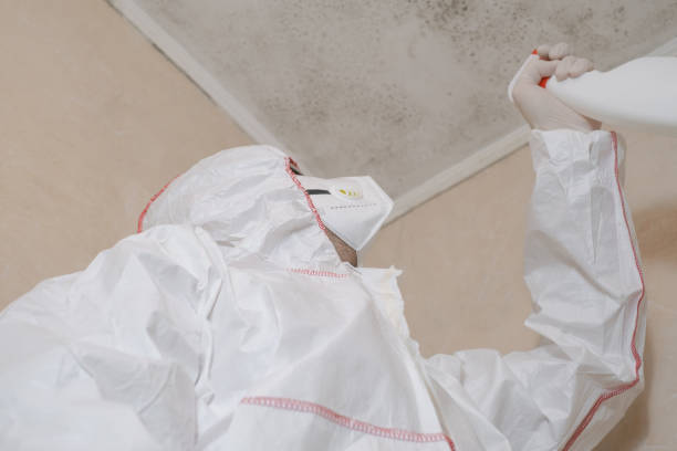 Best Residential Mold Removal  in Geneseo, IL
