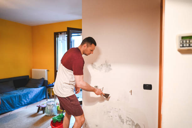 Best Toxic Mold Removal  in Geneseo, IL